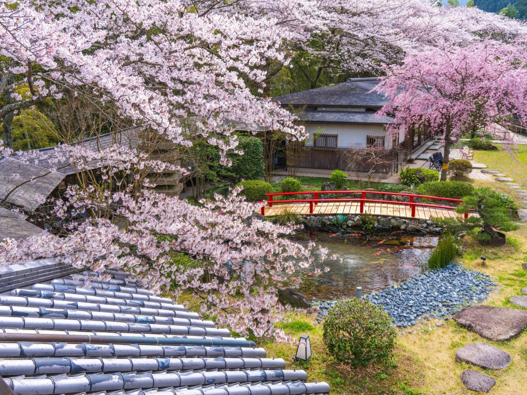 Oukai Villa Izumi Izumi  Extérieur photo